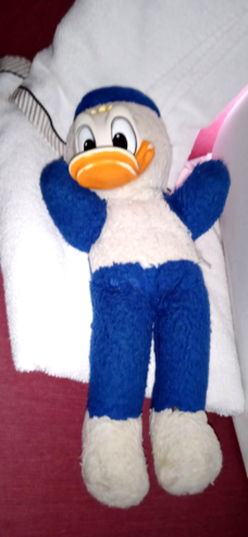 Disney Donald Duck (Chiltern Hygienic Toys)