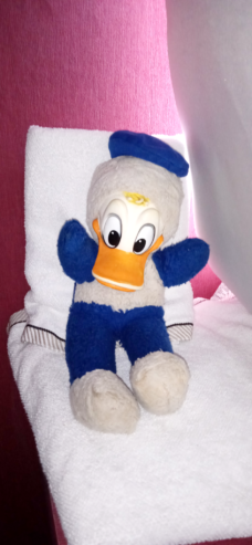 Disney Donald Duck (Chiltern Hygienic Toys)