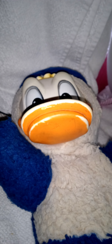 Disney Donald Duck (Chiltern Hygienic Toys)